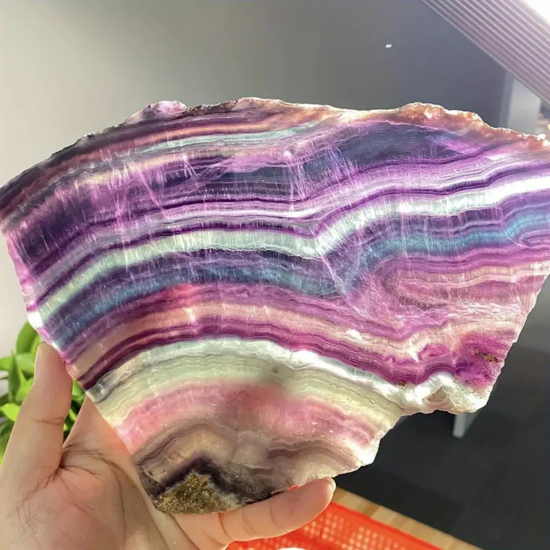 Rainbow Vista — Natural Fluorite Slice Display