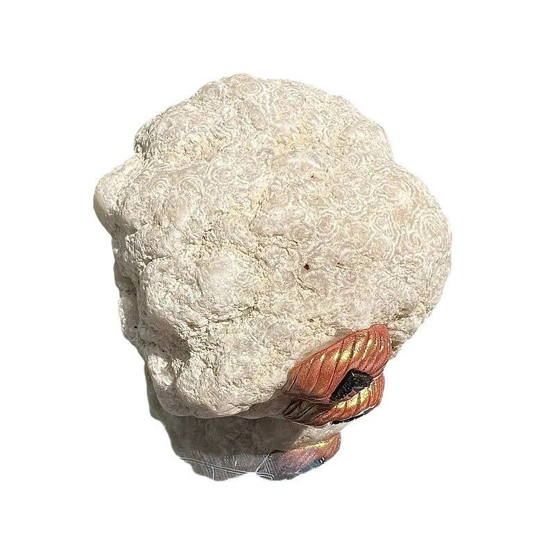 Spirit Zodiac — Natural Clear Quartz Chinese Zodiac Figurine