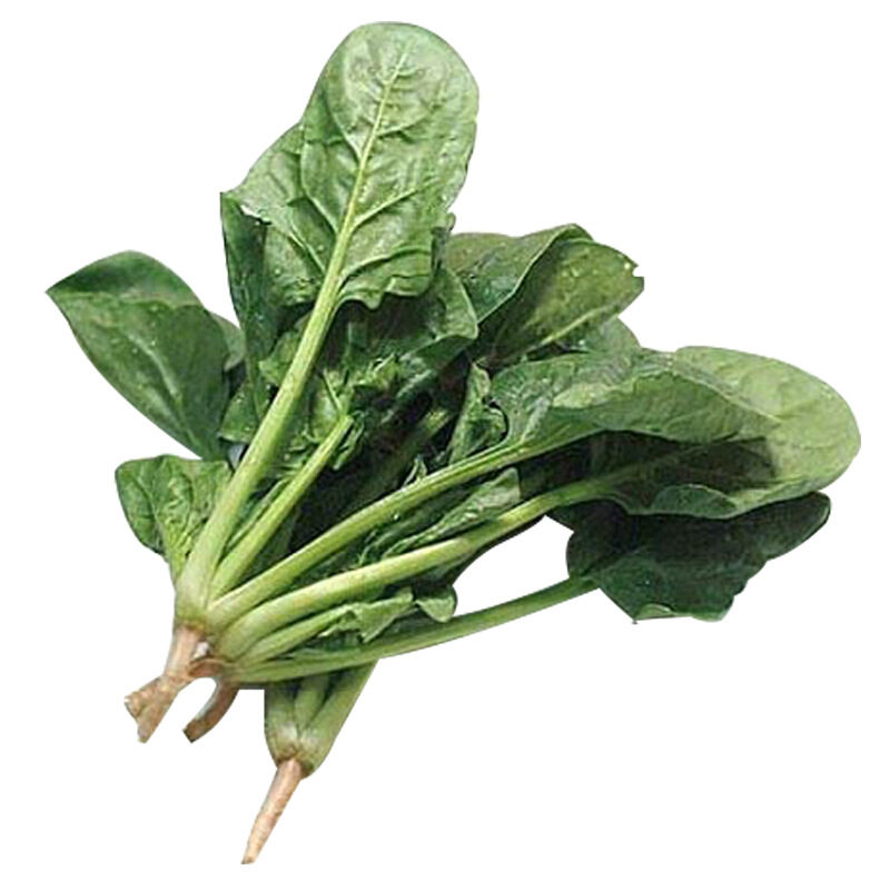 "Четыре сезона" шпинат "четыре сезона" шпинат ", "шпинат", "шпинат", "шпинат", "шпинат", "семечки шпината", домашняя веранда, семечко из овощей"