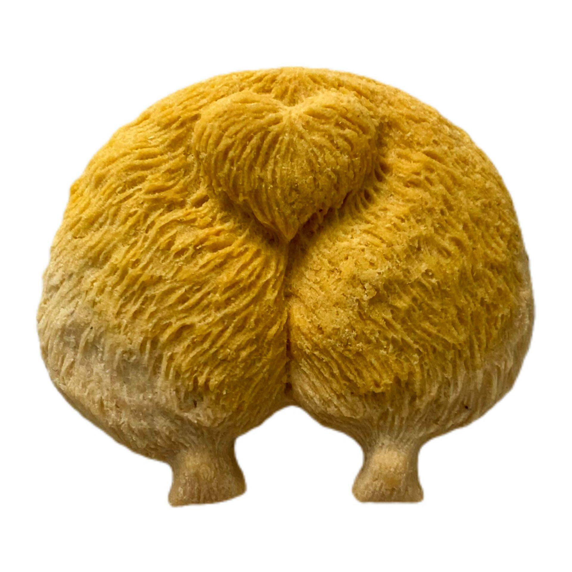 宠物零食鸡肉羊奶酪柯基屁屁饼干猫狗通用磨牙训练奖励手工制作