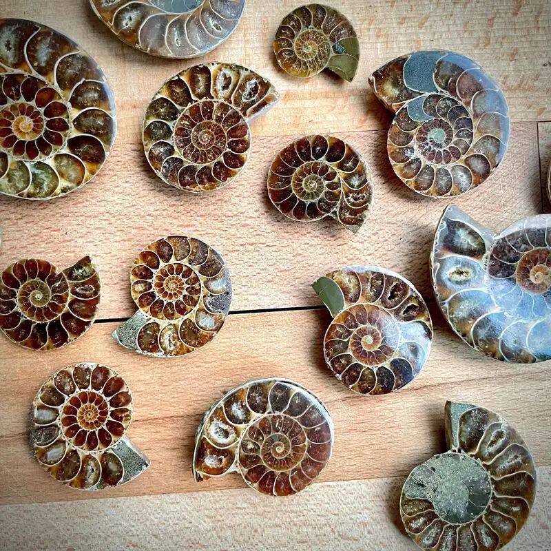 Smoky Depths — Natural Smoky Quartz Cluster