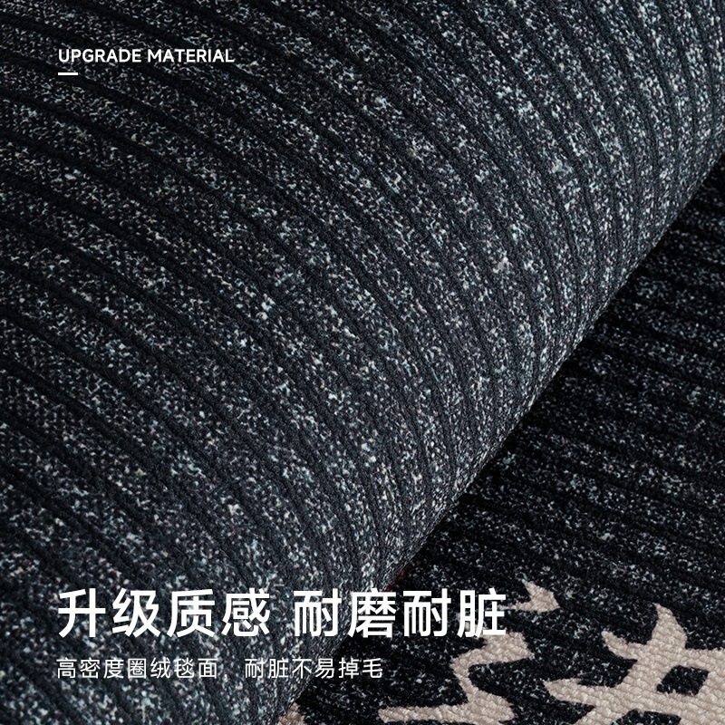 入户门地垫2024新款进门门口脚垫高端防滑耐脏玄关地毯 入户地垫