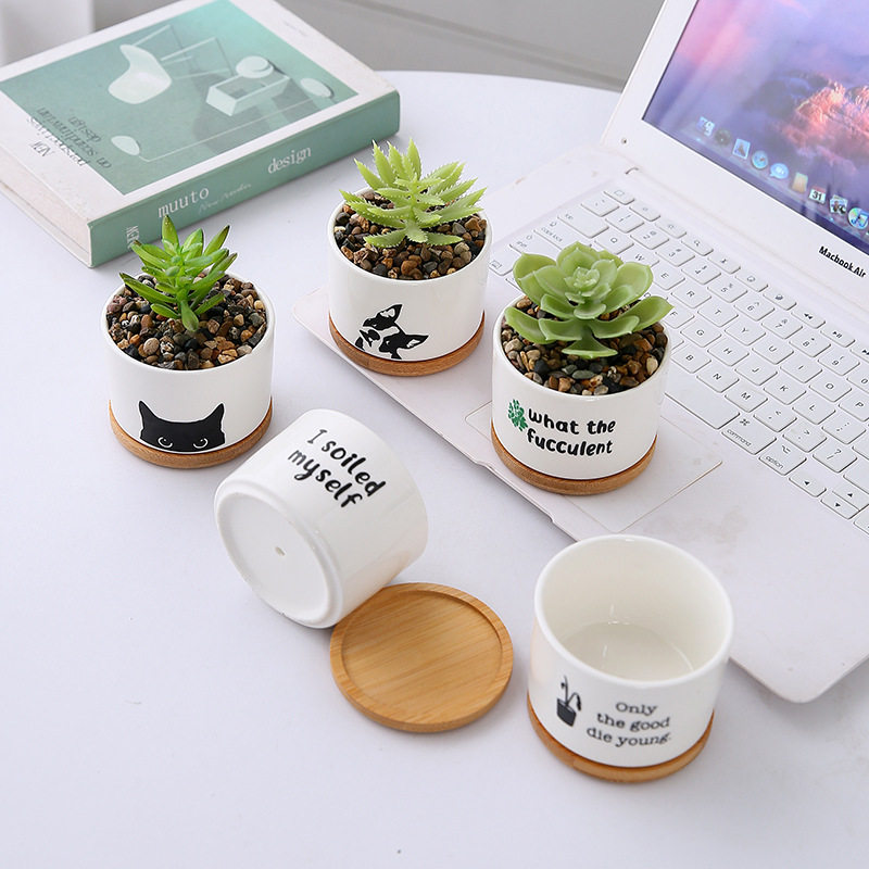 外贸陶瓷多肉花盆托盘室内桌面盆景摆件创意文案logo跨境陶盆批發