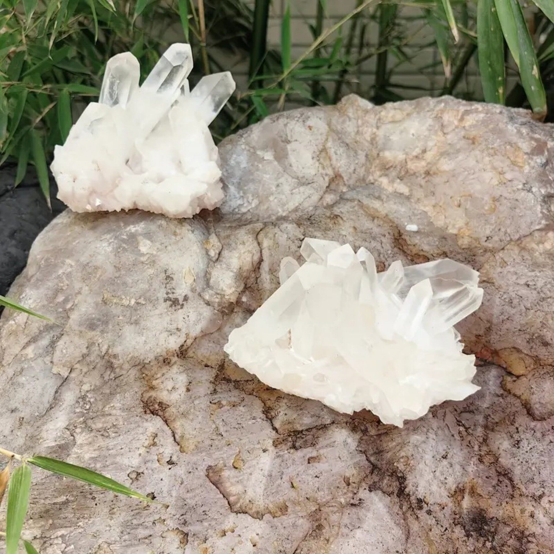 Crystal Sanctuary — Natural Clear Quartz Cluster