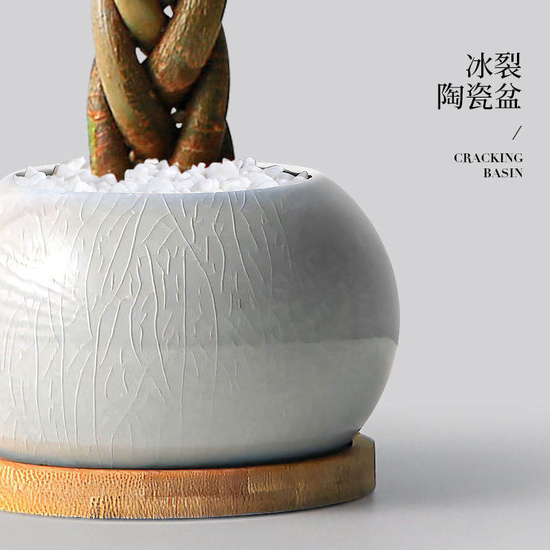 五福发财树桌面盆栽室内客厅懒人四季好养办公室盆景招财树绿植