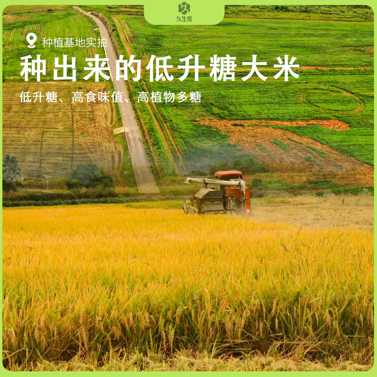 大米500g一袋真空包装米1斤健身孕妇食品礼盒批发谷物低GI低卡