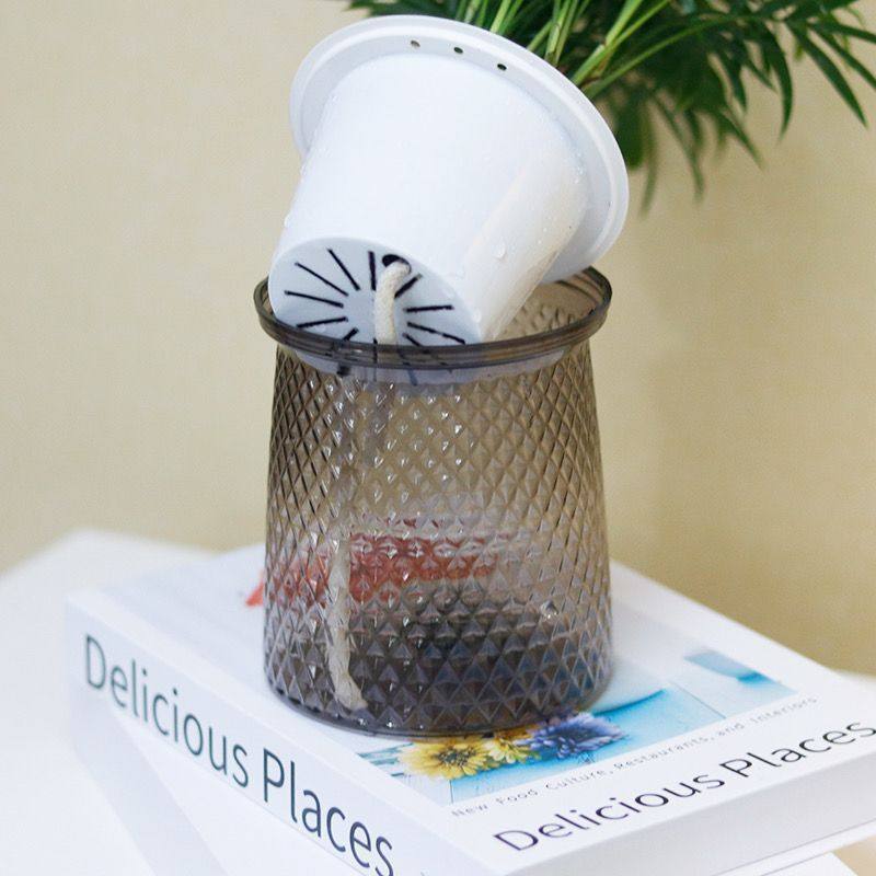 【买三送一】灰透塑胶盆富贵竹金钻发财树九里香绿植物桌面好养