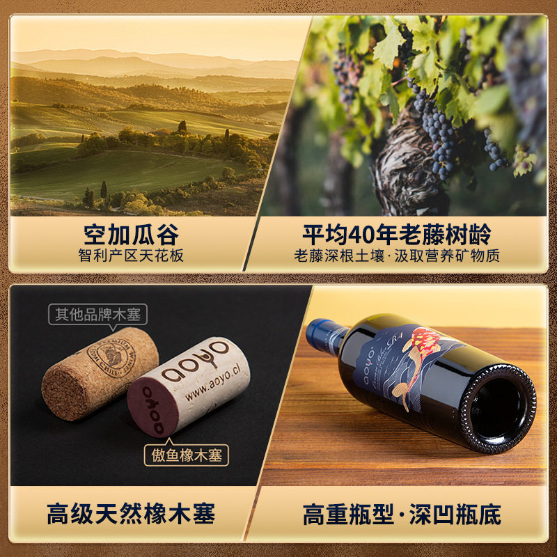 傲鱼智利原装原瓶进口红酒干红葡萄酒水果酒整箱批发代理代发送礼