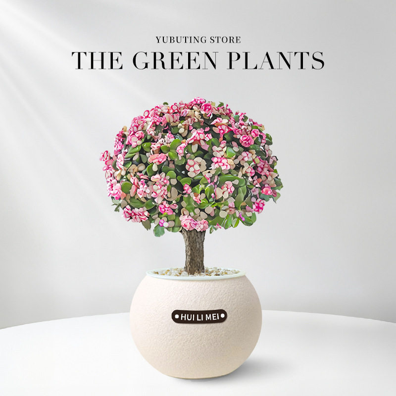 绿植室内小盆栽发财树绿萝高级感客厅水培植物懒人适合冬天养的花