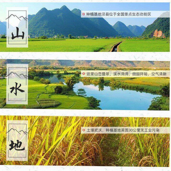 山庄人有机大米5斤丝苗米猫牙香米软香双认证工厂批发溯源防伪