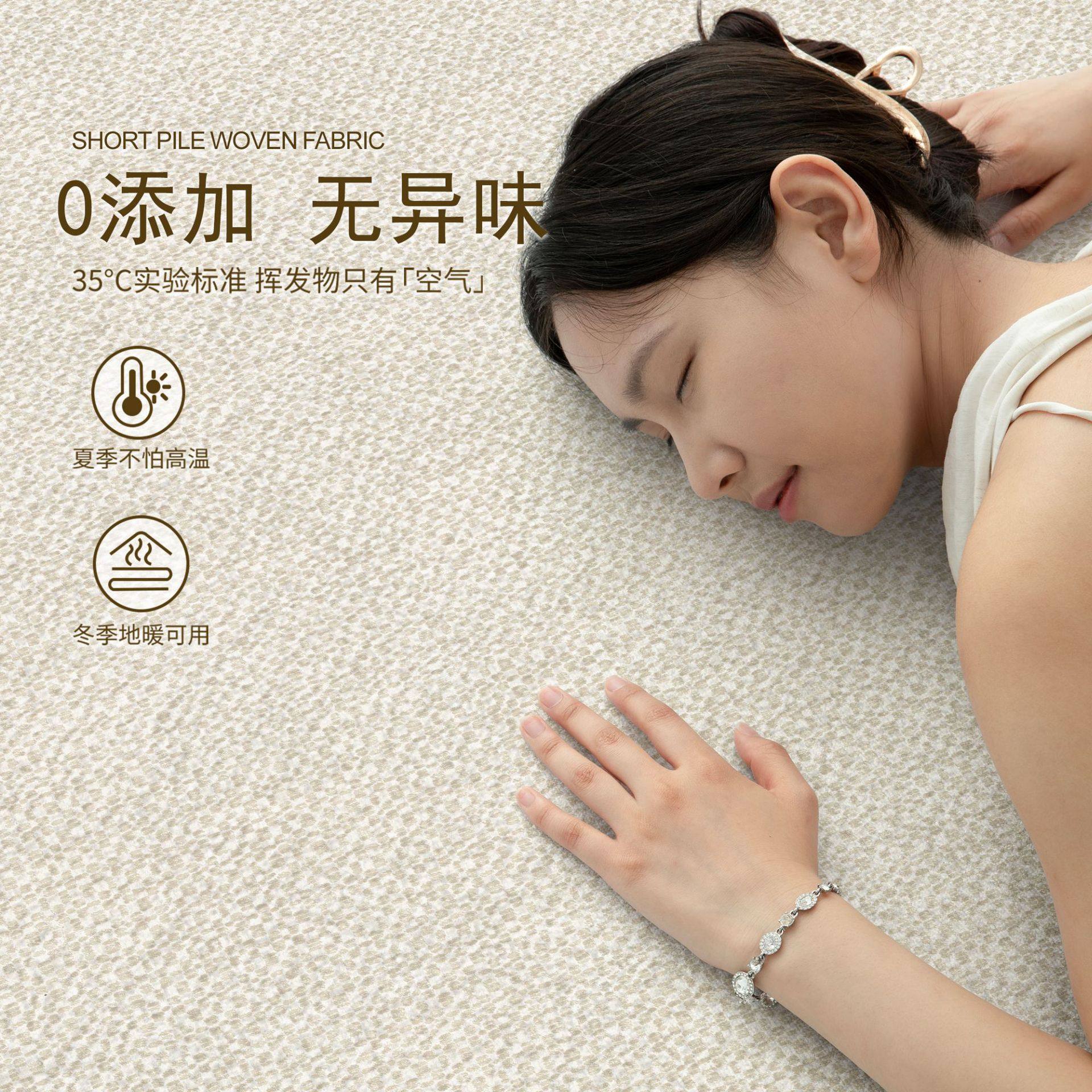 地毯客厅免洗可擦奶油风轻奢免打理沙发毯卧室大面积全铺床边地垫