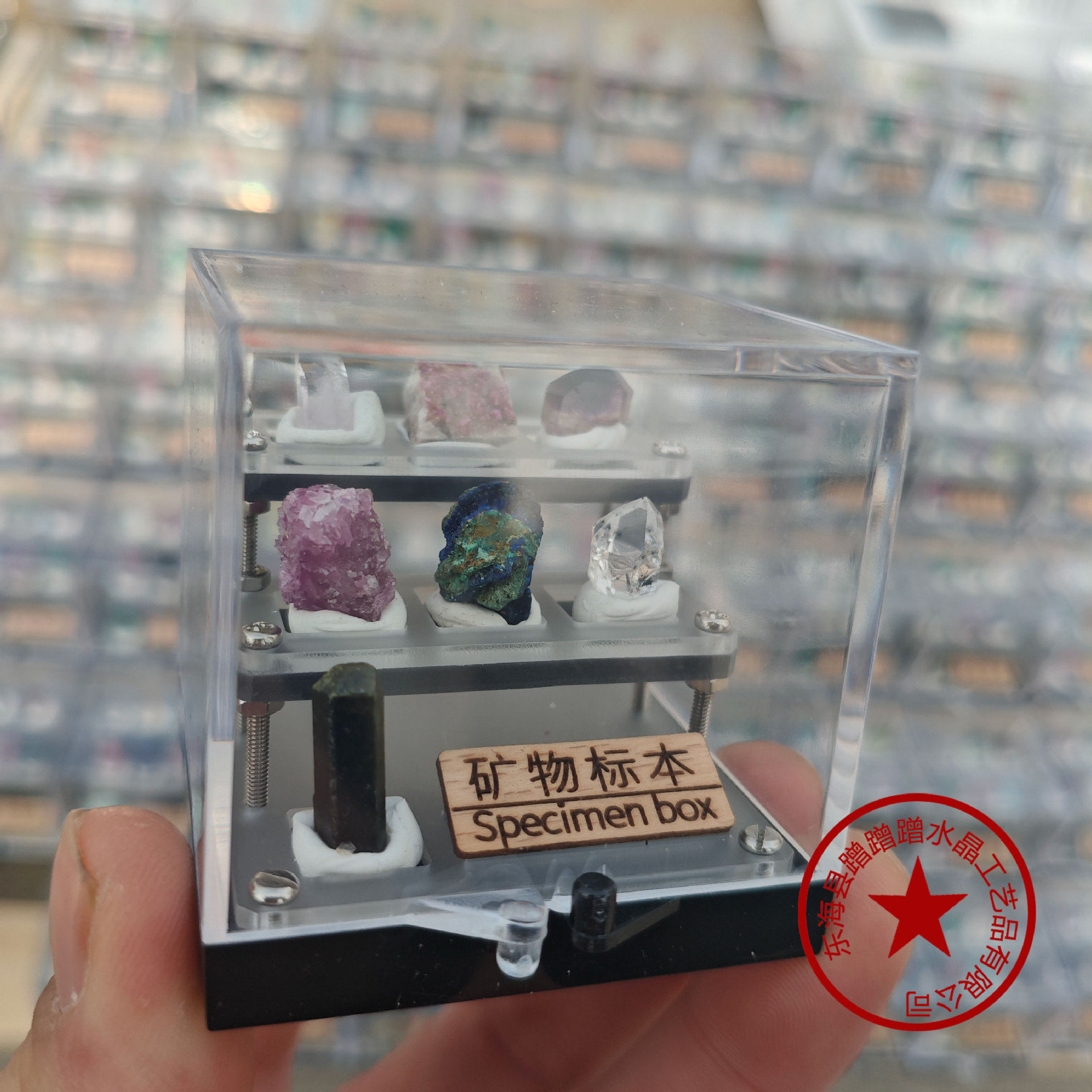 Earth Treasure Box — Natural Mineral Specimen Collection