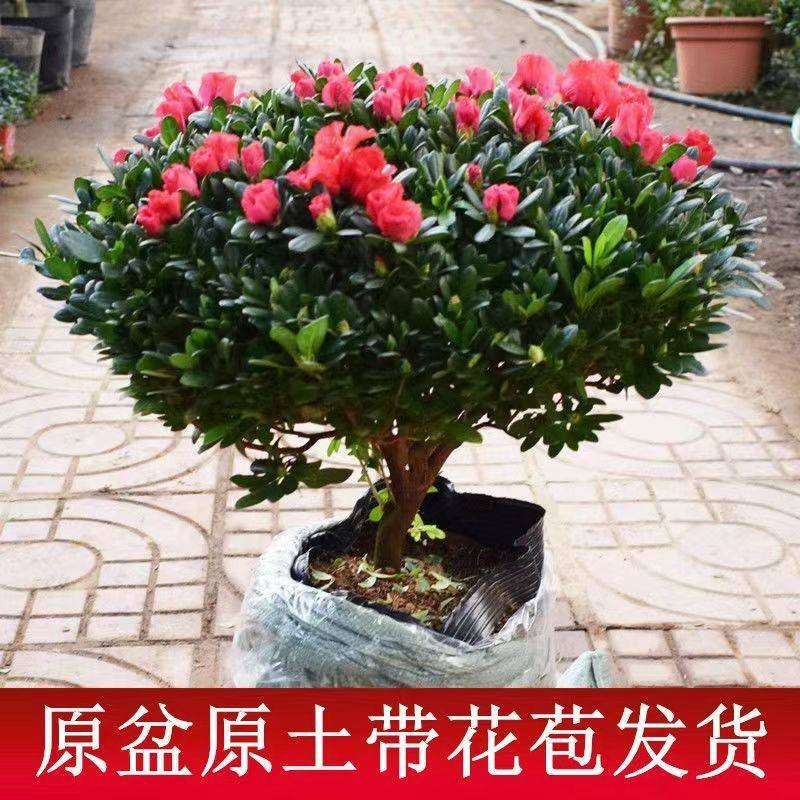 77a42060-5a39-416e-8ef2-31f35331c721.jpe