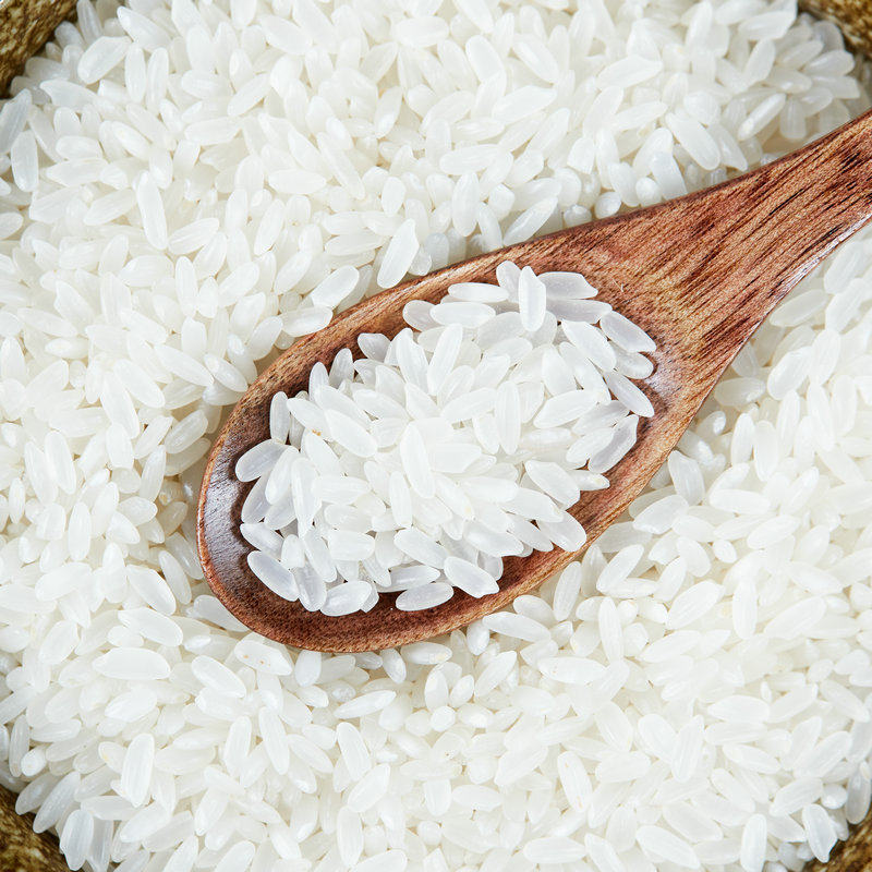 现货正宗东北五常长粒香大米批发包邮黑龙江特产5斤10斤装新米