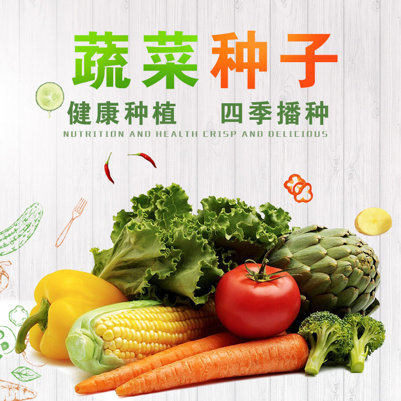 "Четыре сезона" шпинат "четыре сезона" шпинат ", "шпинат", "шпинат", "шпинат", "шпинат", "семечки шпината", домашняя веранда, семечко из овощей"