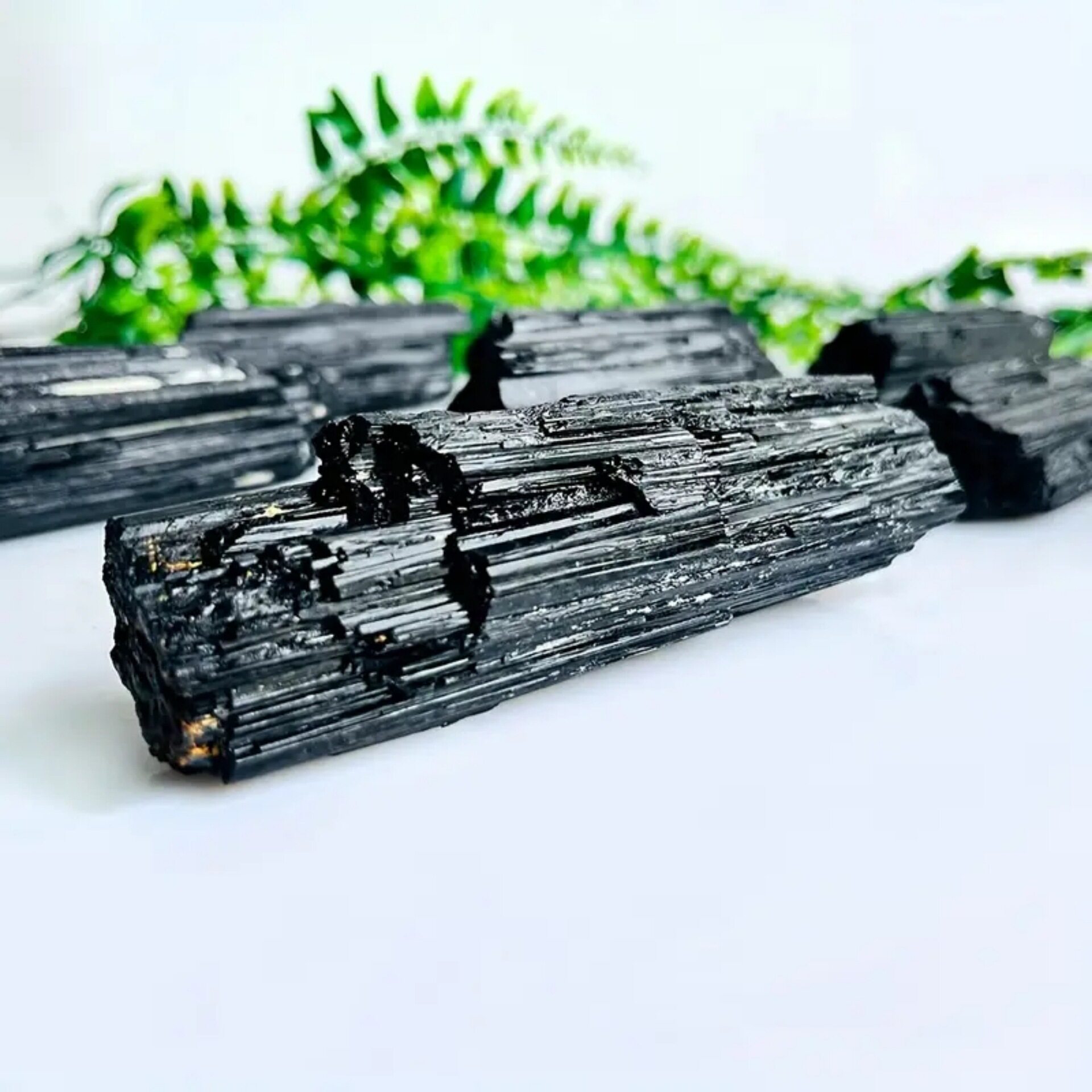 Obsidian Shield — Natural Black Tourmaline Raw Crystal Specimen