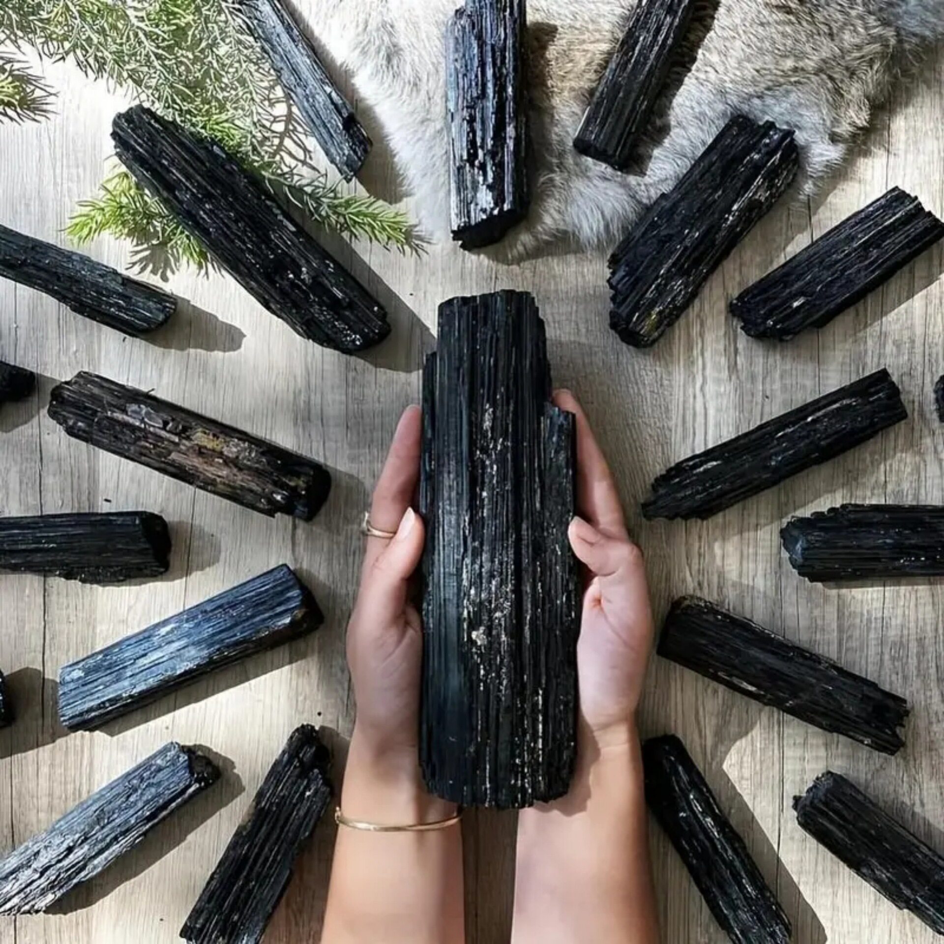 Obsidian Shield — Natural Black Tourmaline Raw Crystal Specimen