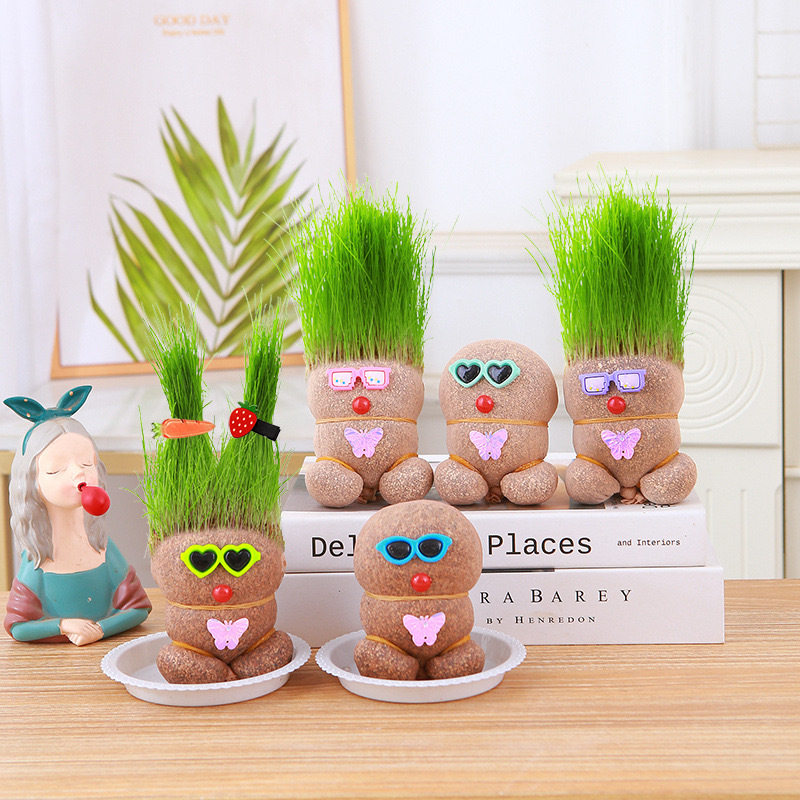 长草娃娃小盆栽草头娃娃好养桌面绿植礼物水培儿童种植易活小植物