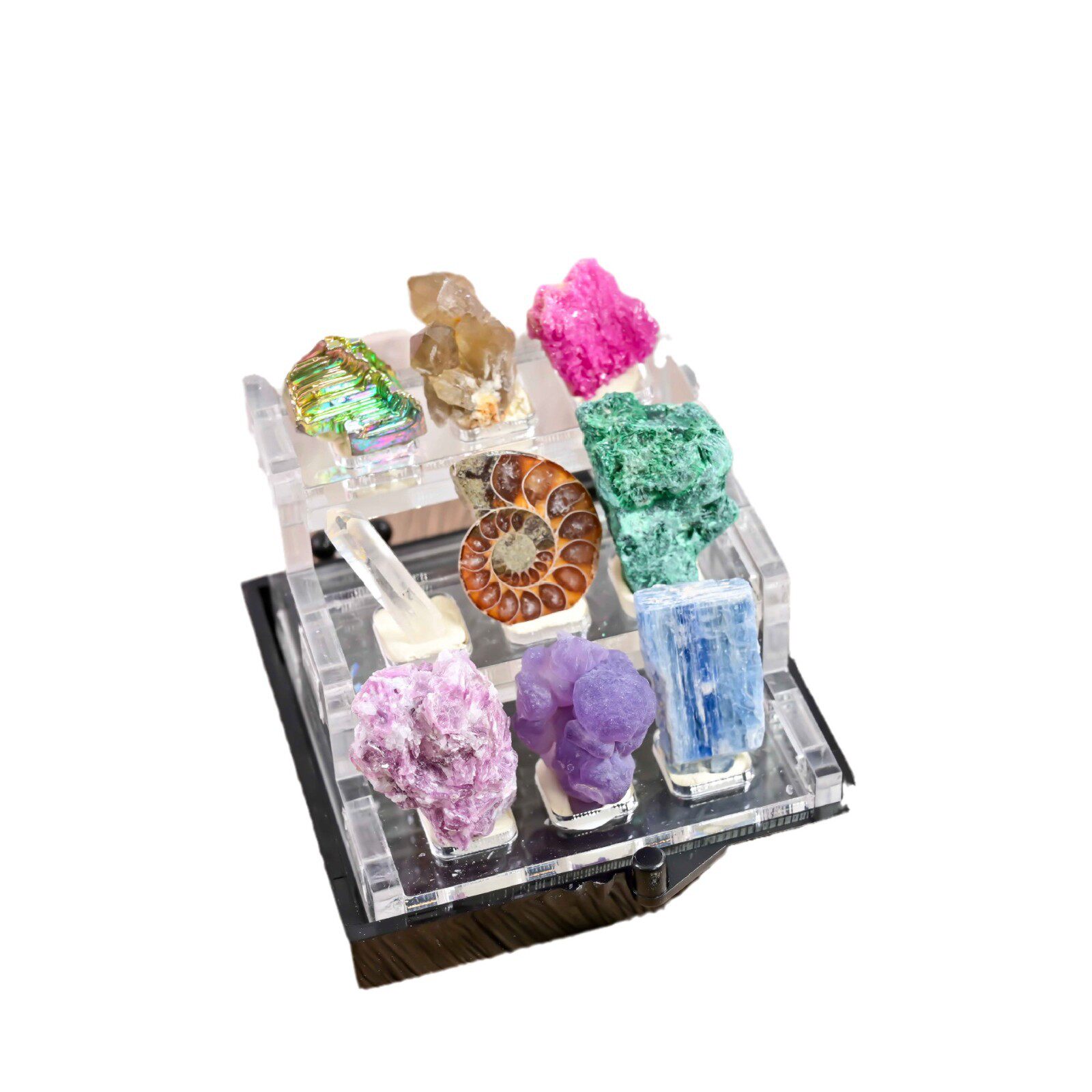 Earth Treasure Box — Natural Mineral Specimen Collection