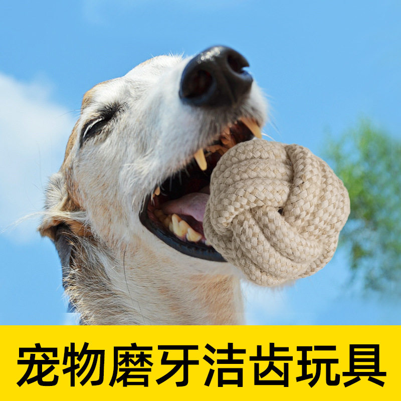 哈罗宠物棉麻绳结宠物玩具耐咬磨牙狗玩具球编制狗狗啃咬玩具结球