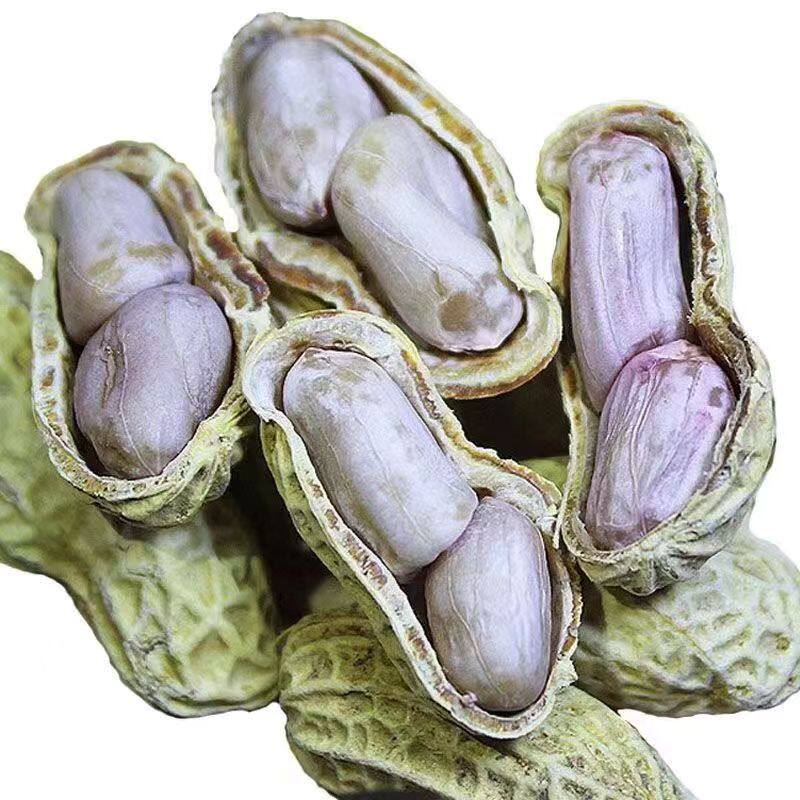 福建龙岩花生带壳原味水煮花生批发办公休闲食品宿舍花生零食