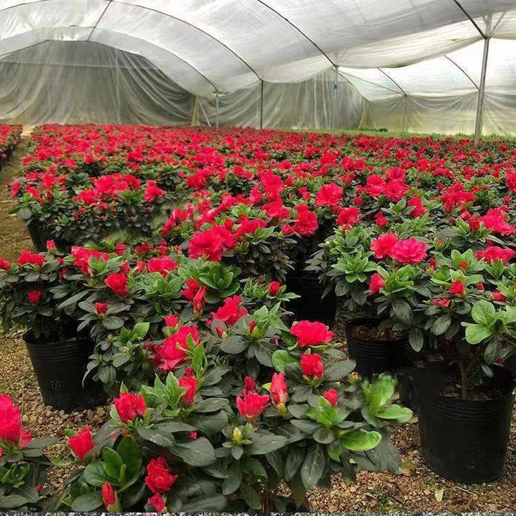 e7aad5c2-8171-404d-8939-63205d06e318.jpe