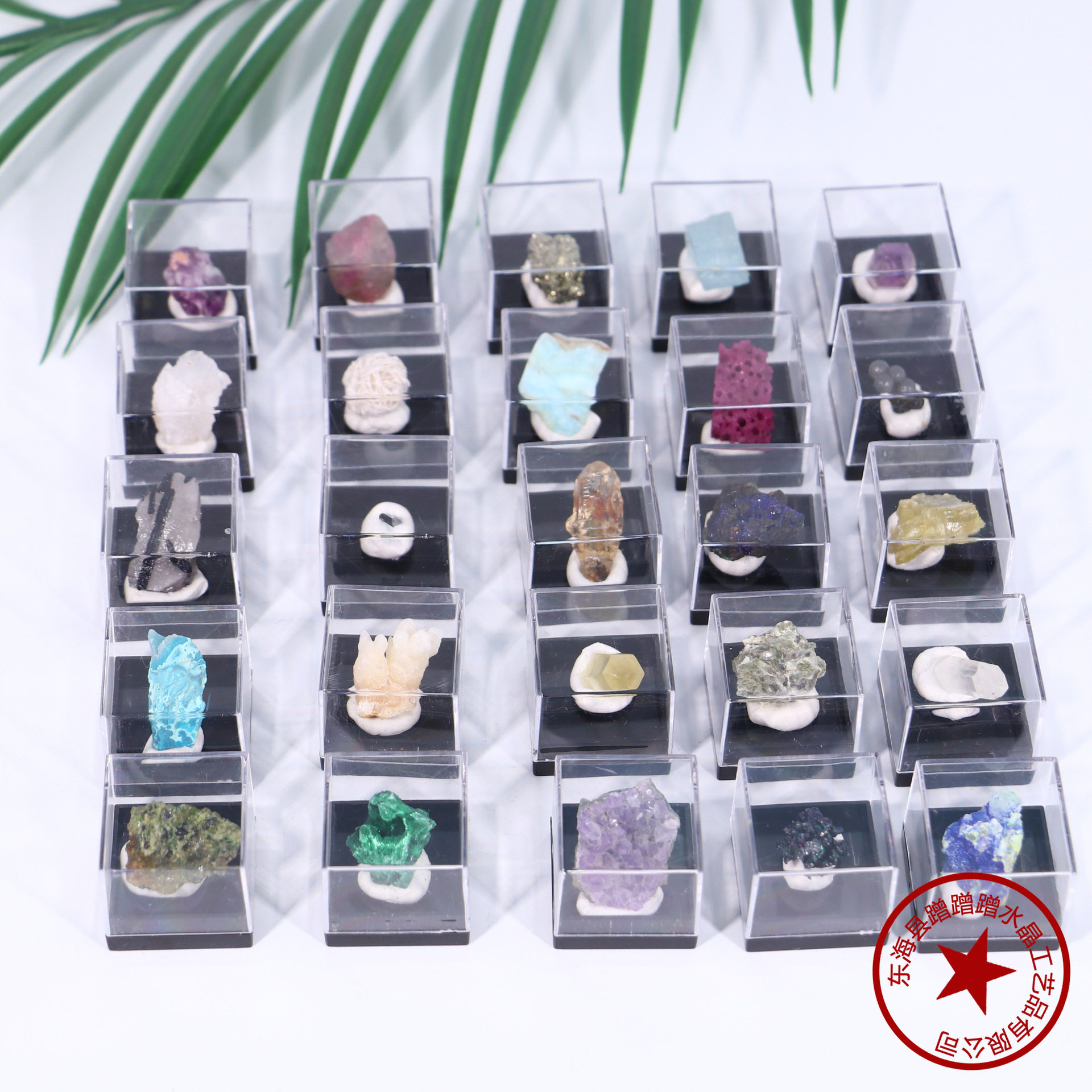 Peacock Aura — Natural Malachite Raw Crystal Specimen