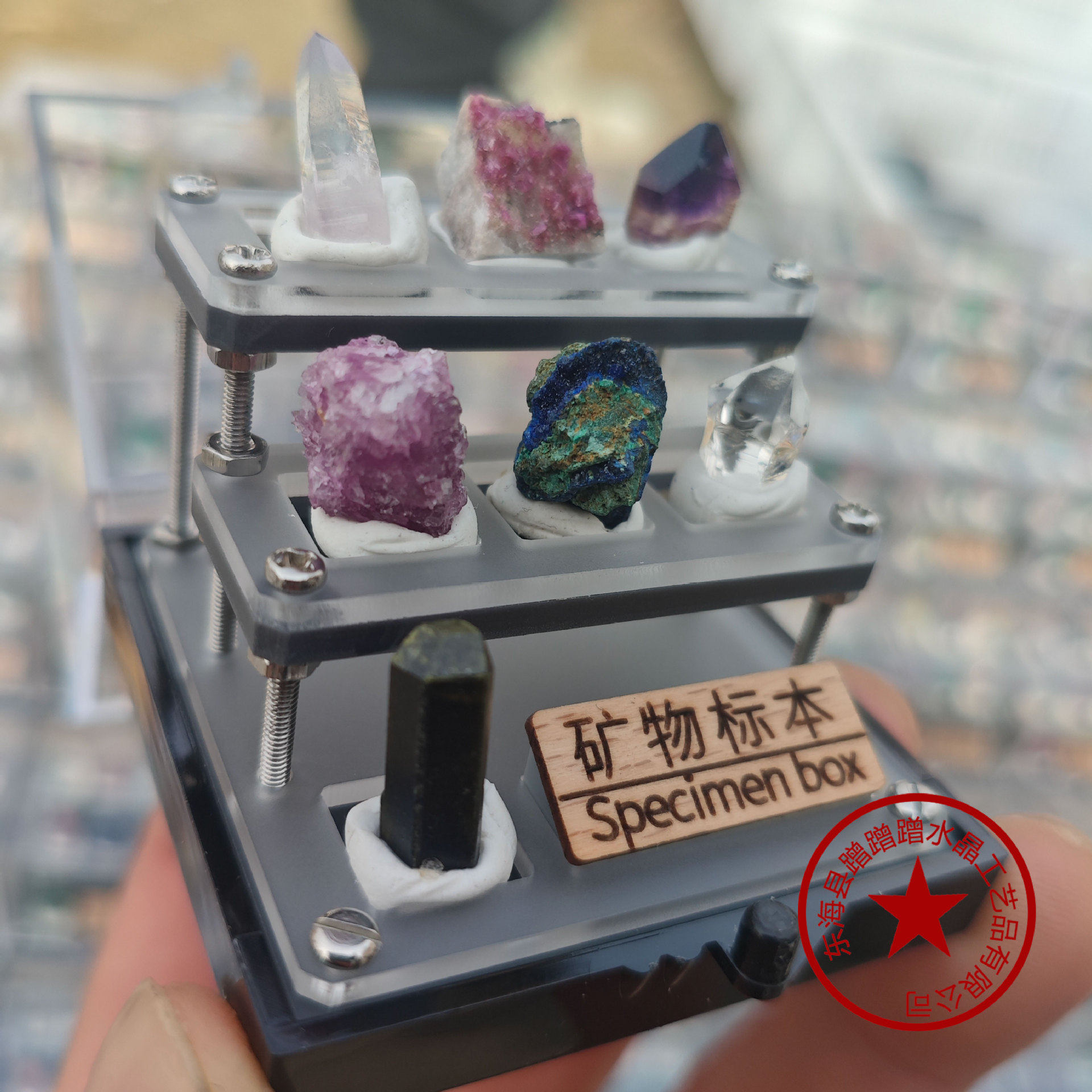 Earth Treasure Box — Natural Mineral Specimen Collection