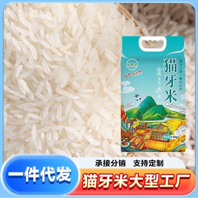 正宗猫牙米长粒香大米超长当季新米农家丝苗米煲仔饭专用真