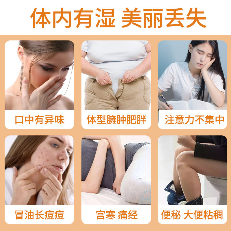 轻燃茶养生茶桑葚葛根山楂决明子排黄芥子便酸枣荷叶油陈皮袋泡茶