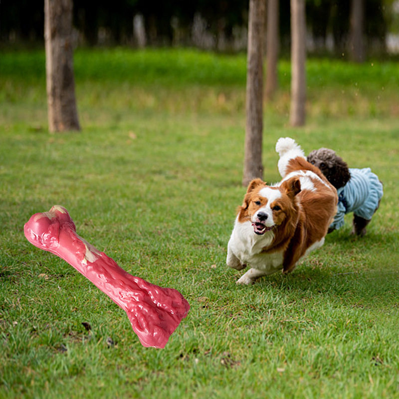 亚马逊新品狗狗啃咬发声玩具磨牙耐咬橡胶仿真小骨头漏食宠物玩具
