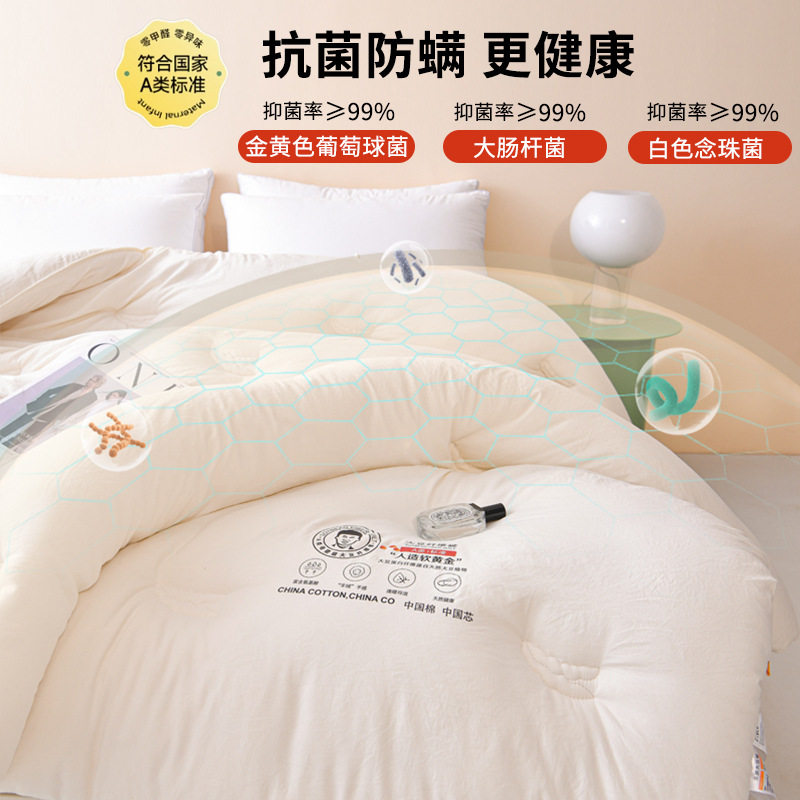 A类母婴级大豆纤维被芯大豆子母被夏凉被加厚保暖冬季被春秋被子