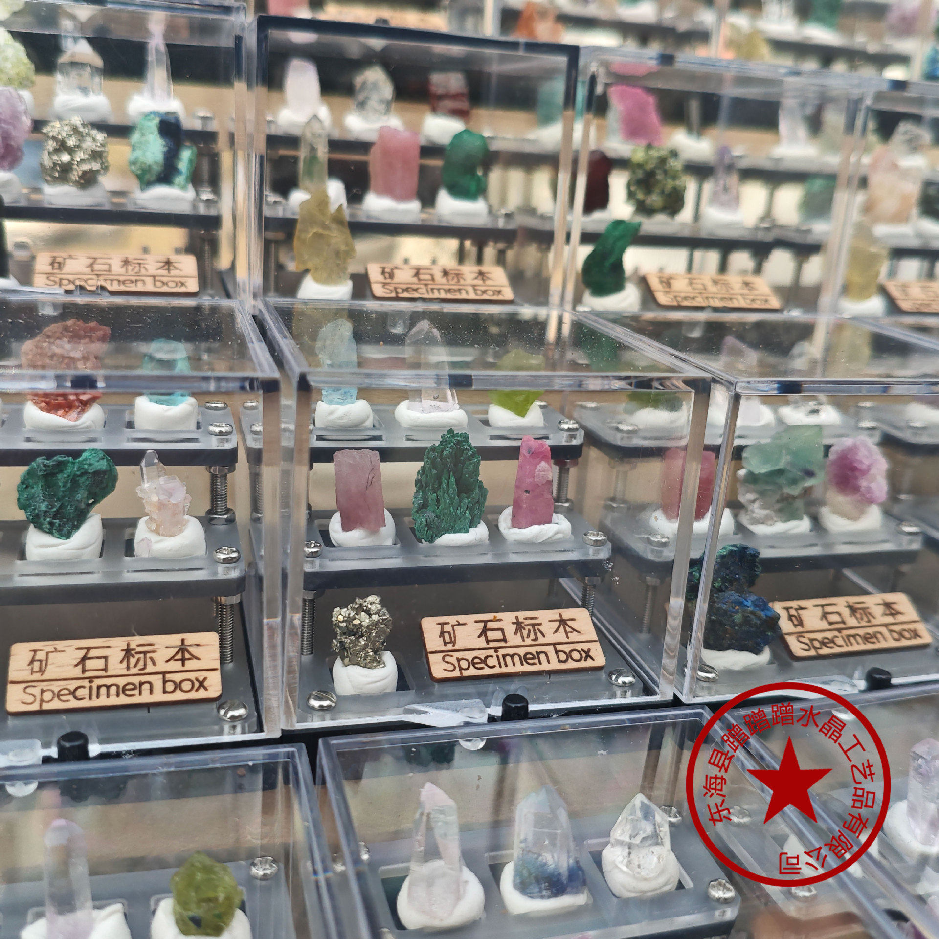 Earth Treasure Box — Natural Mineral Specimen Collection