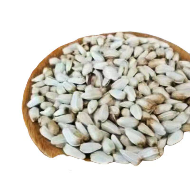 Premium saffron seeds, pure Xinjiang thornless saffron seeds, planted all year round in spring