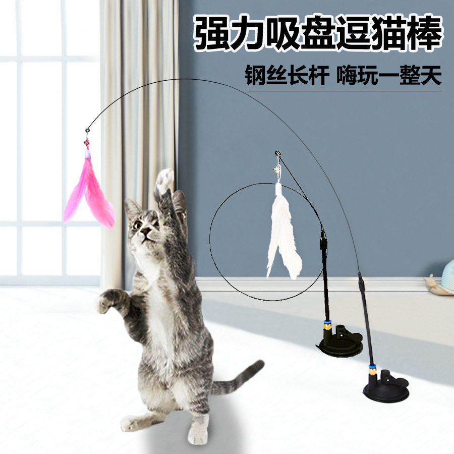 强力吸盘逗猫棒钢丝长杆羽毛猫玩具自嗨解闷耐咬逗猫神器宠物玩具