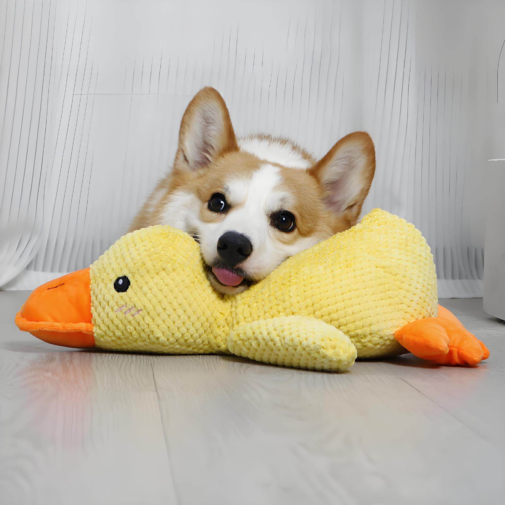 狗狗玩具解闷神器消耗体力中大型犬发声柯基耐咬宠物毛绒自嗨泰迪