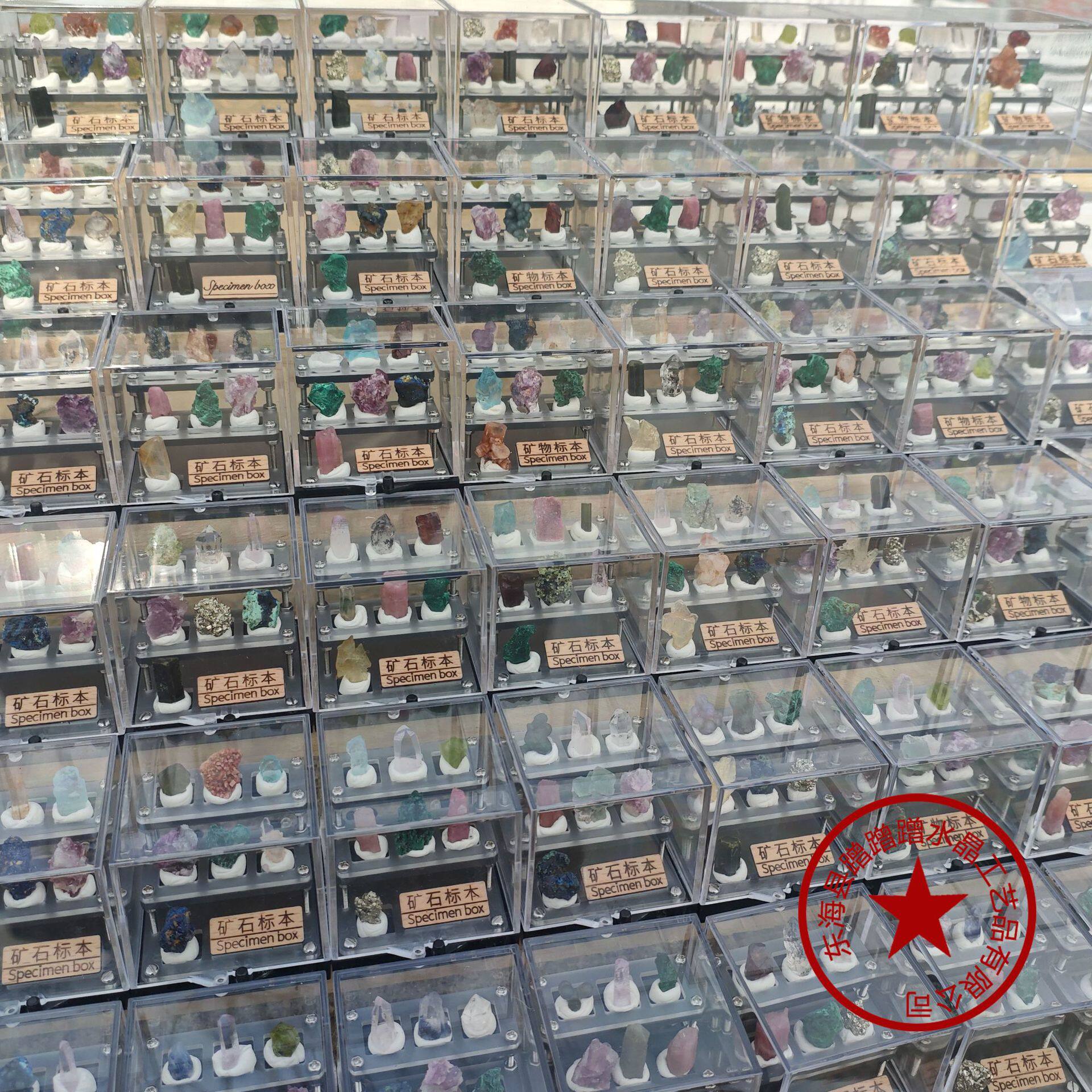 Earth Treasure Box — Natural Mineral Specimen Collection