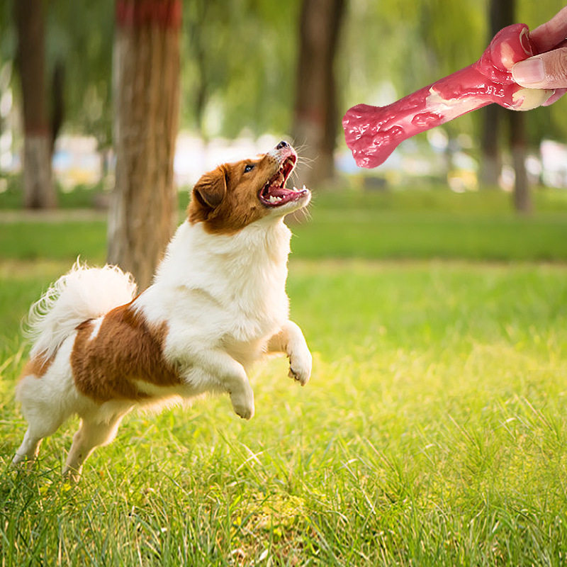 亚马逊新品狗狗啃咬发声玩具磨牙耐咬橡胶仿真小骨头漏食宠物玩具