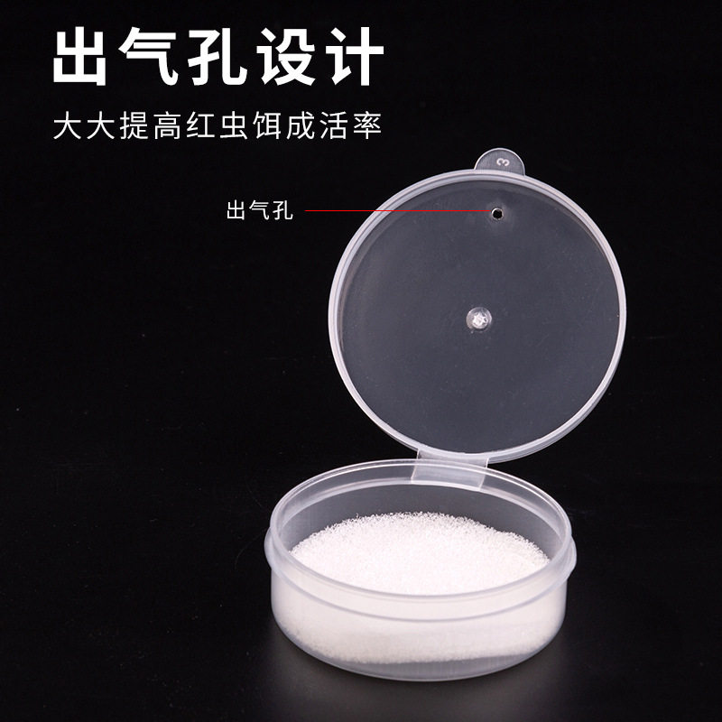 钓鱼红虫盒 红虫养殖盒 红虫上饵盒 活饵盒带孔加海绵 渔具小配件