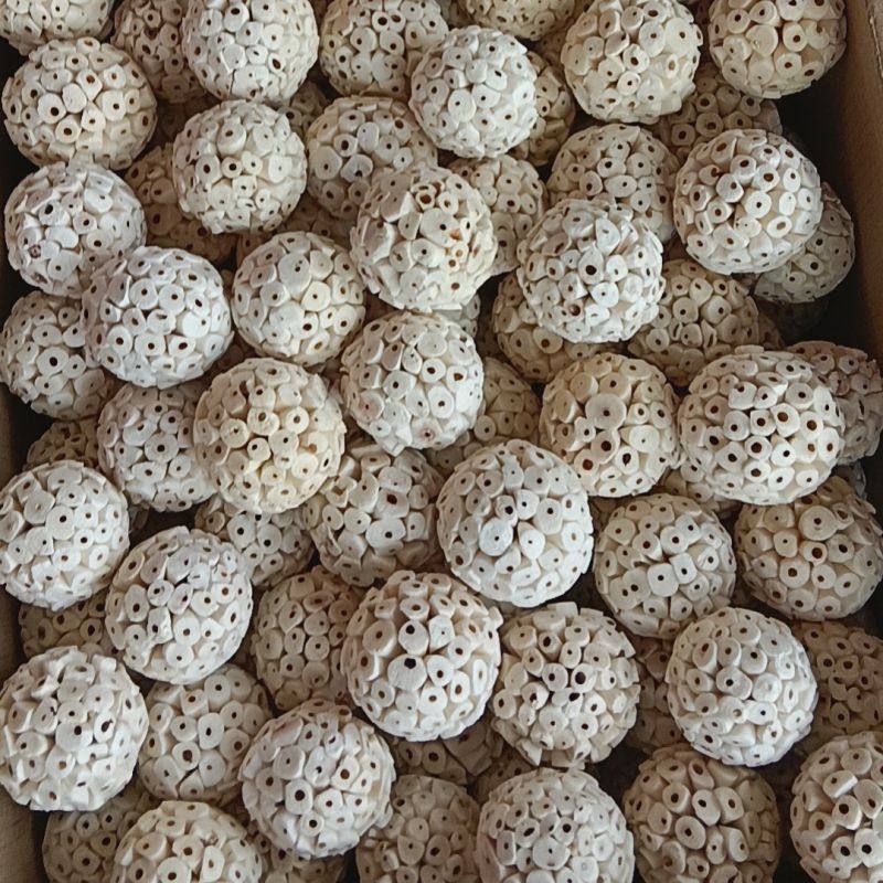 现货批发天然通草球宠物用品啃咬球鹦鹉玩具仓鼠磨牙健齿咀嚼