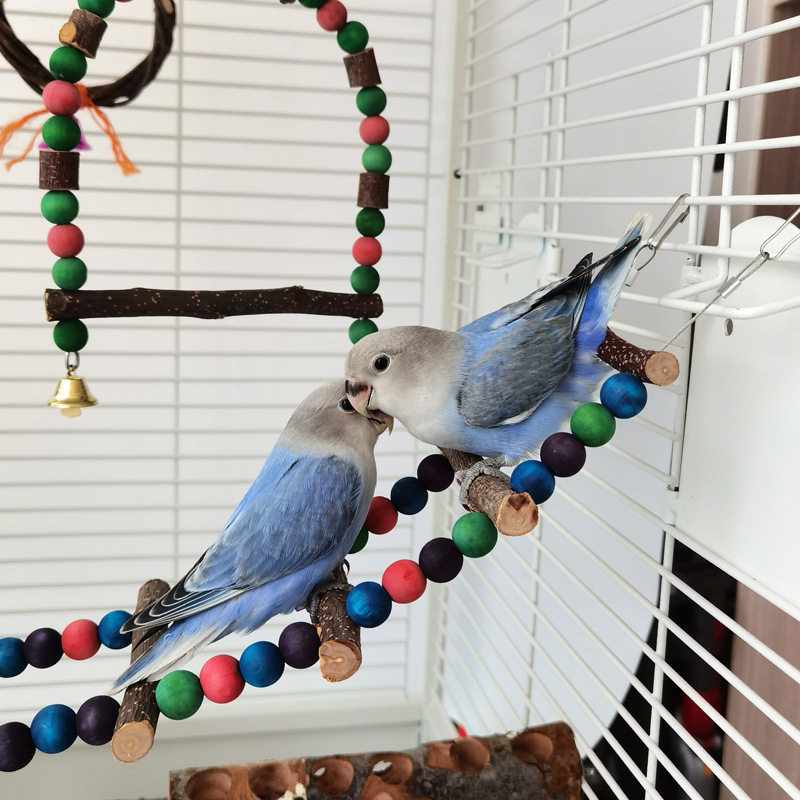 食用色素彩珠秋千 鹦鹉玩具 宠物鸟类彩色站架蜜袋鼯啃咬攀爬梯子