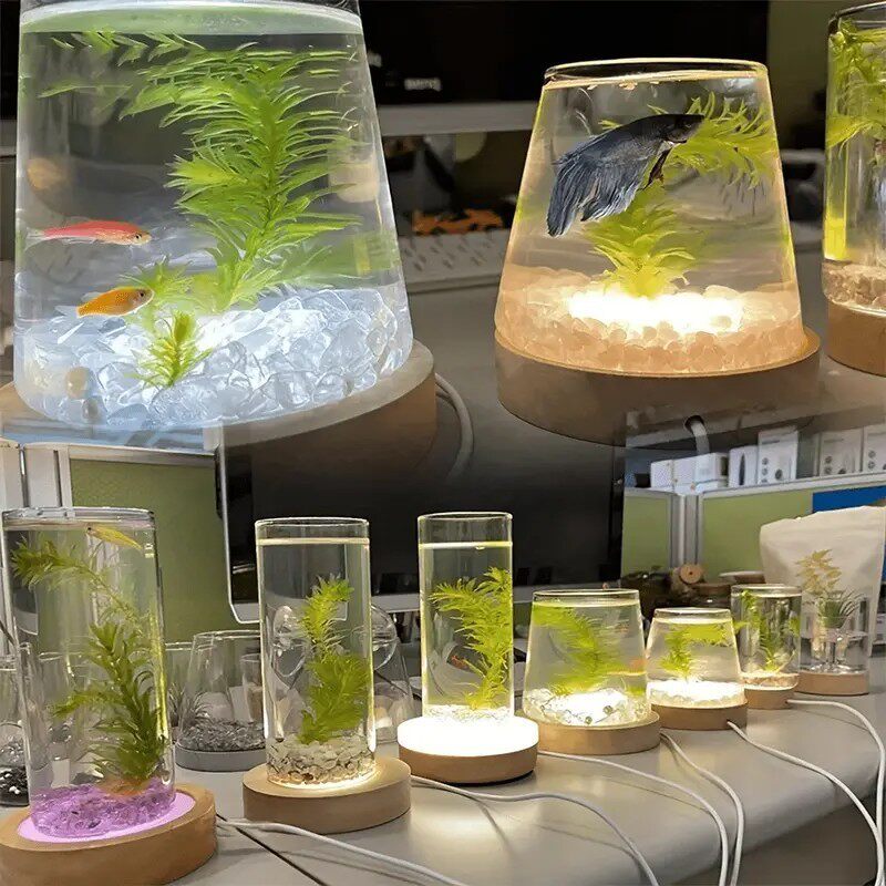 Violet Nebula — Natural Amethyst Agate Crystal Sphere