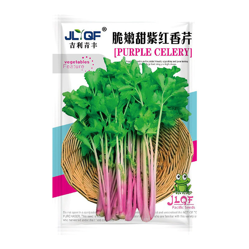 Пурпурно-красная петрушка, красный сельдерей, семян красного сельдерея, красный пурпурно-фиолетовый балкон с растениями, выращивающиеся в течение четырех сезонов