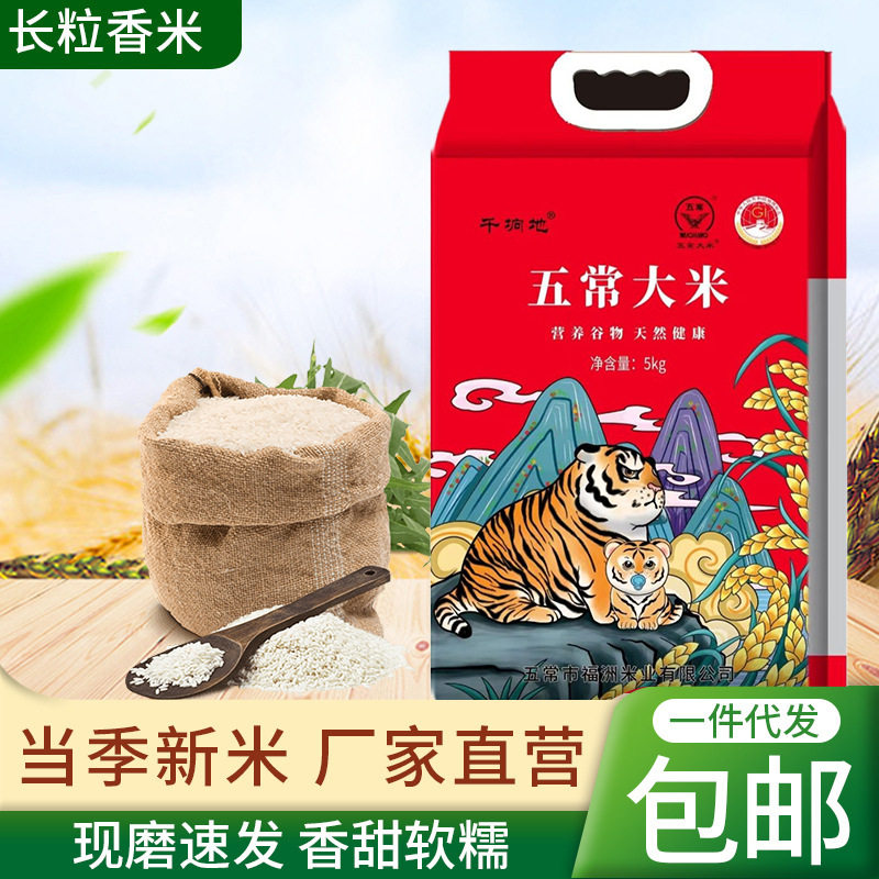 现货正宗东北五常长粒香大米批发包邮黑龙江特产5斤10斤装新米