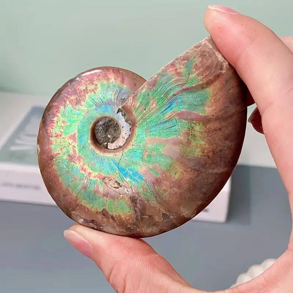 Smoky Depths — Natural Smoky Quartz Cluster