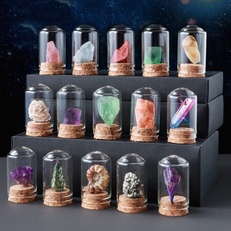 Crystal Specimen Collection Box — Enchanted Earth Collection