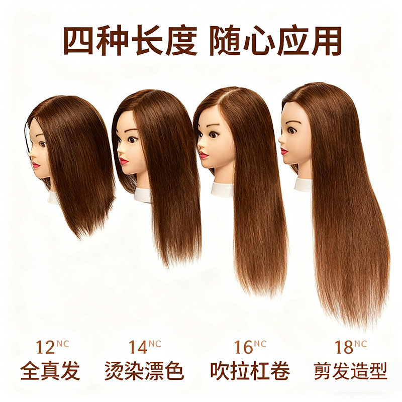 全真发教习模特头模学徒理发公仔头美发假人头剪发假模特头烫卷发
