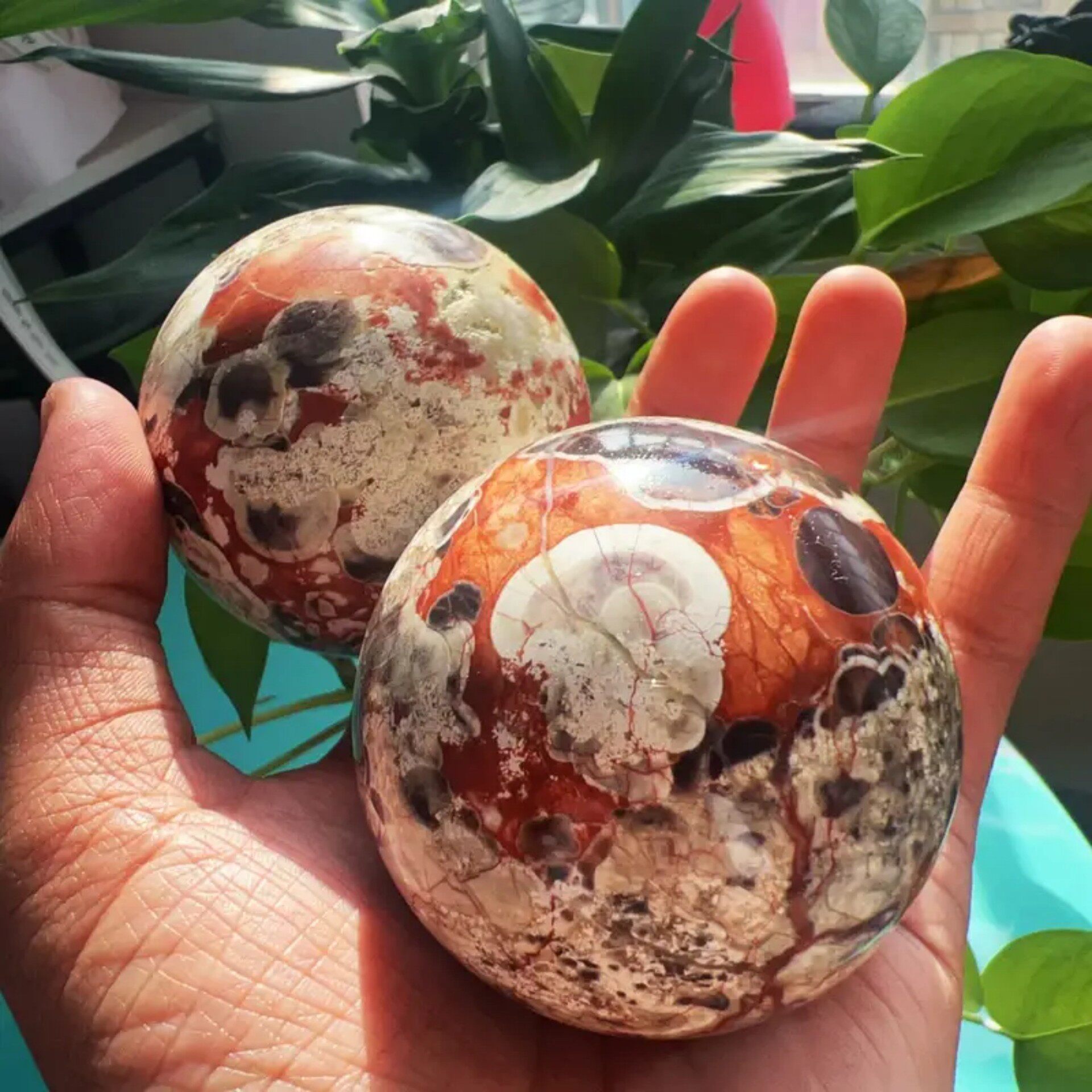 Feathered Orb — Natural Feather Fluorite Crystal Sphere