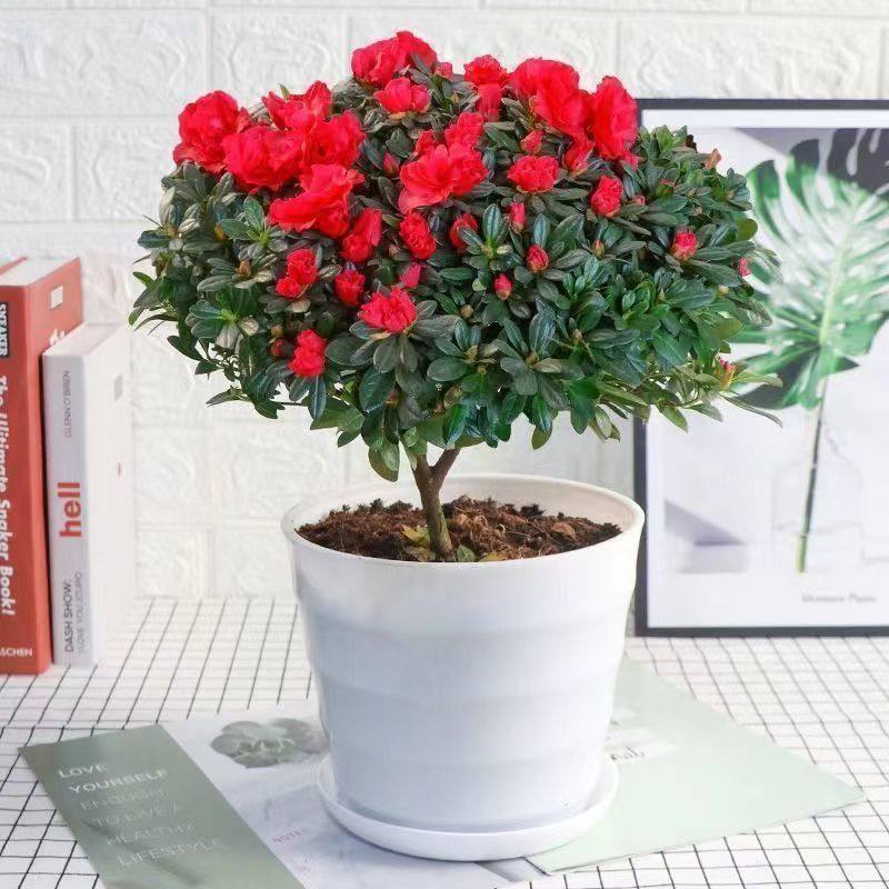 14368b76-9f36-4bbe-a992-19e8a81d1763.jpe