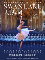 (Year-end Saw) The Russian Royal Ballet Swan Lake 2023 Anniversary of Chinas Tour to 20 to present Kunming Station